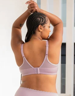 BH Taya violetgrey*SugarShape Online