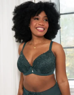 BH Vienna forest*SugarShape