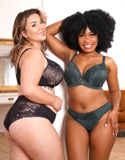 BH Vienna forest*SugarShape