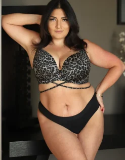 BH Voilà leogrey*SugarShape Sale