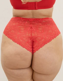 High-Brazilian Cariba hibiscus*SugarShape Hot